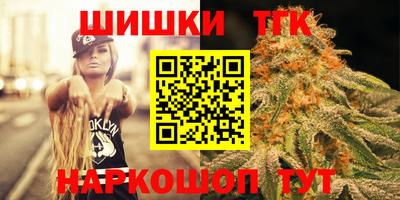 индика Можайск